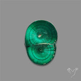 Rare Malachite Stalactite Slice wiith Chattoyancy