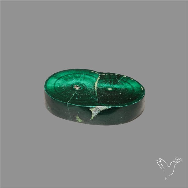 Rare Malachite Stalactite Slice wiith Chattoyancy