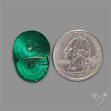 Rare Malachite Stalactite Slice wiith Chattoyancy