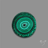 Rare Malachite Stalactite Slice