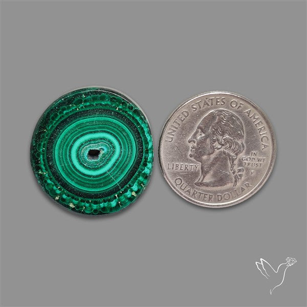 Rare Malachite Stalactite Slice
