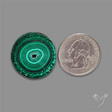 Rare Malachite Stalactite Slice