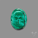 Rare Malachite Stalactite Slice