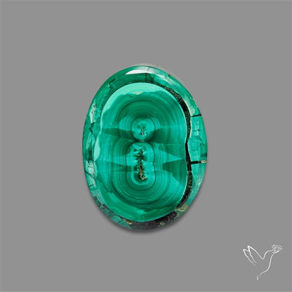 Rare Malachite Stalactite Slice