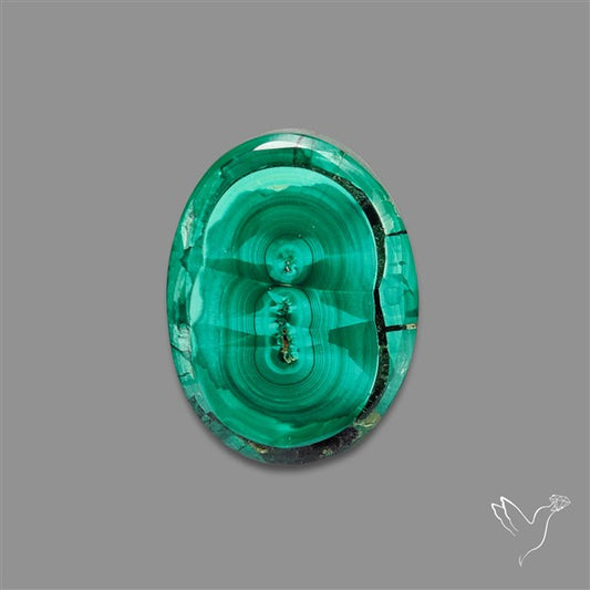 Rare Malachite Stalactite Slice