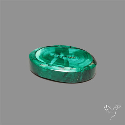 Rare Malachite Stalactite Slice