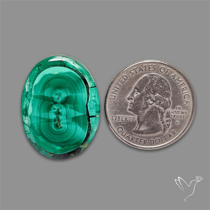 Rare Malachite Stalactite Slice