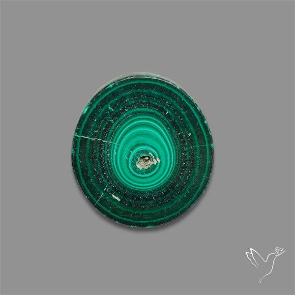 Rare Malachite Stalactite Slice