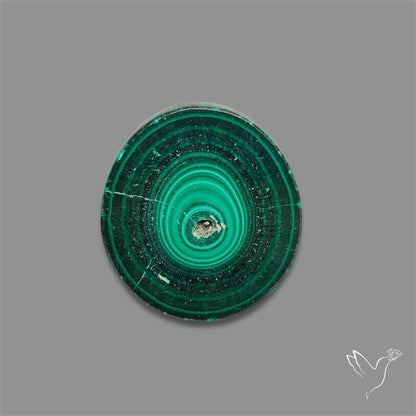 Rare Malachite Stalactite Slice