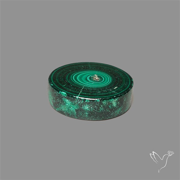 Rare Malachite Stalactite Slice