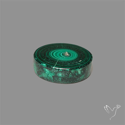 Rare Malachite Stalactite Slice