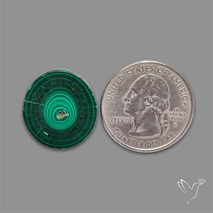 Rare Malachite Stalactite Slice