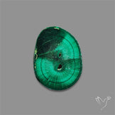 Rare Malachite Stalactite Slice wiith Chattoyancy
