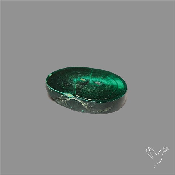 Rare Malachite Stalactite Slice wiith Chattoyancy
