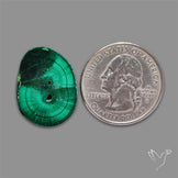 Rare Malachite Stalactite Slice wiith Chattoyancy