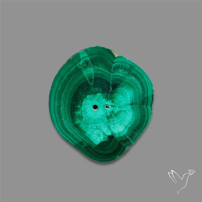Rare Malachite Stalactite Slice