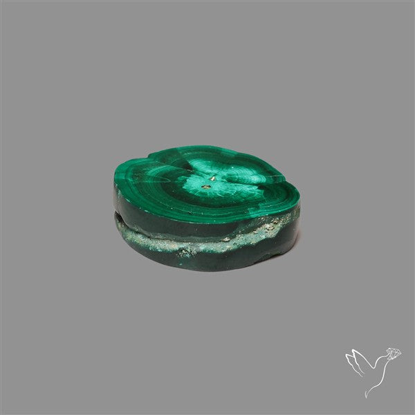 Rare Malachite Stalactite Slice