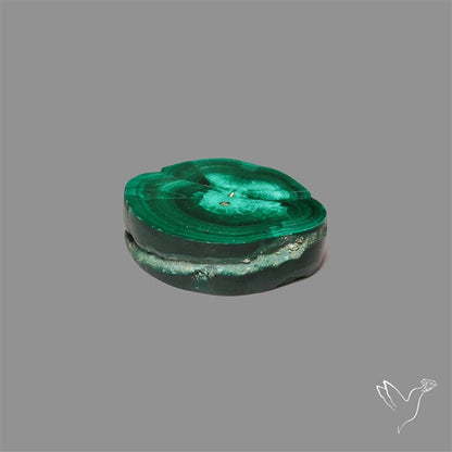 Rare Malachite Stalactite Slice