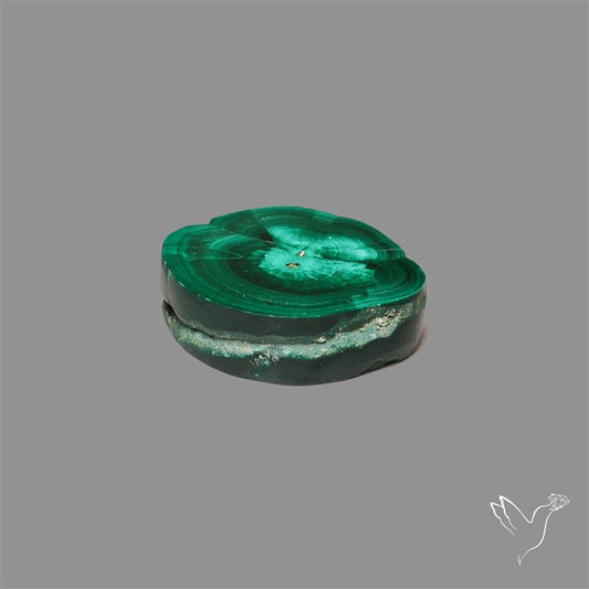 Rare Malachite Stalactite Slice