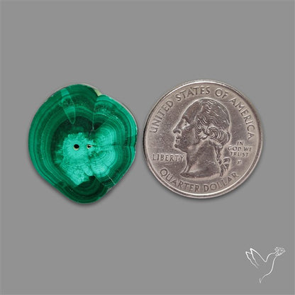 Rare Malachite Stalactite Slice