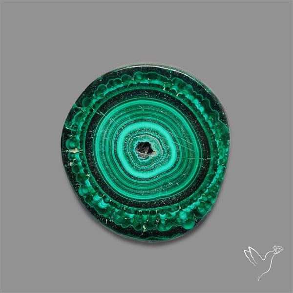 Rare Malachite Stalactite Slice