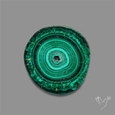 Rare Malachite Stalactite Slice
