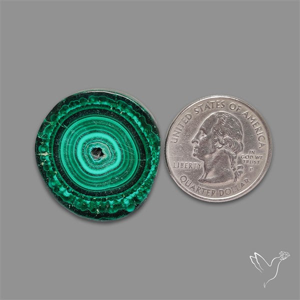 Rare Malachite Stalactite Slice