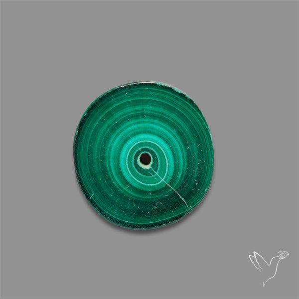 Rare Malachite Stalactite Slice