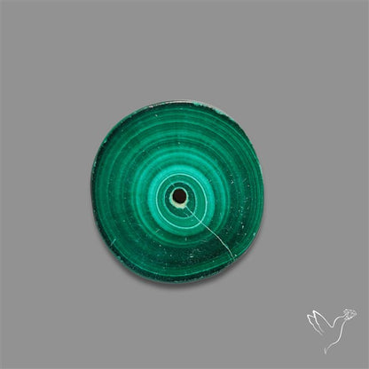 Rare Malachite Stalactite Slice