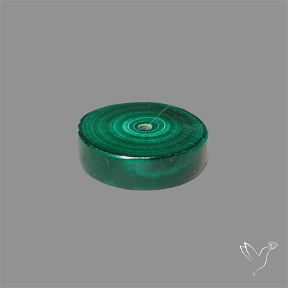Rare Malachite Stalactite Slice