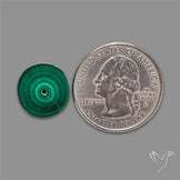 Rare Malachite Stalactite Slice