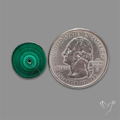 Rare Malachite Stalactite Slice