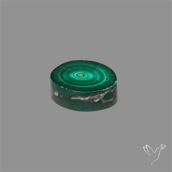 Rare Malachite Stalactite Slice
