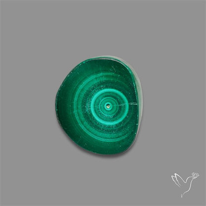 Rare Malachite Stalactite Slice