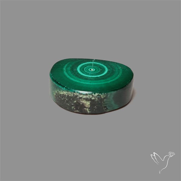 Rare Malachite Stalactite Slice