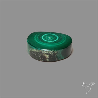 Rare Malachite Stalactite Slice