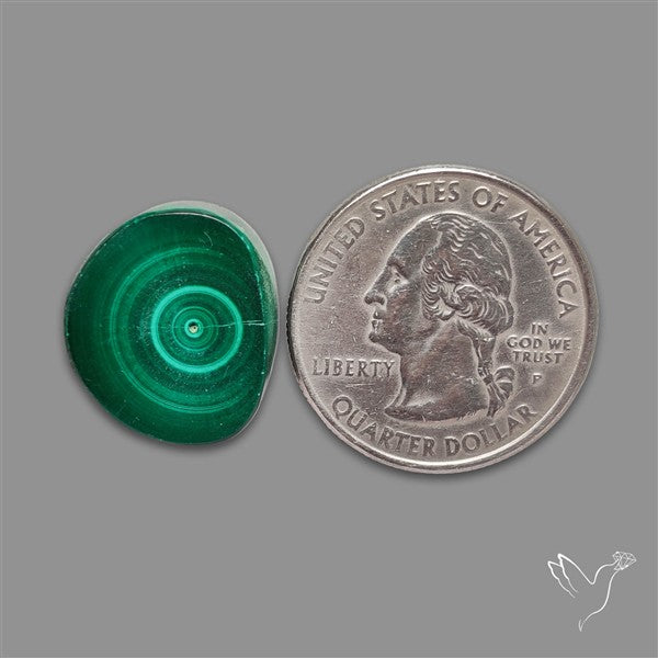 Rare Malachite Stalactite Slice