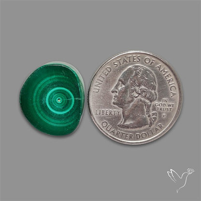 Rare Malachite Stalactite Slice