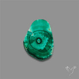Rare Malachite Stalactite Slice
