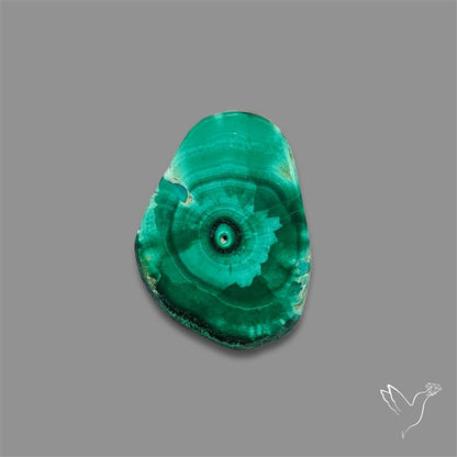 Rare Malachite Stalactite Slice
