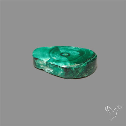 Rare Malachite Stalactite Slice