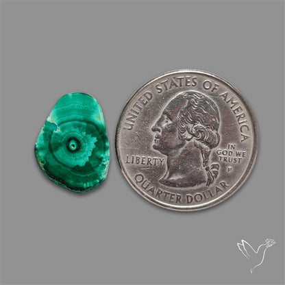 Rare Malachite Stalactite Slice