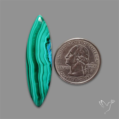 Malachite Cabochon