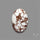 Wild Horse Jasper Cabochon