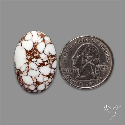 Wild Horse Jasper Cabochon