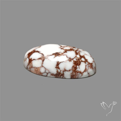 Wild Horse Jasper Cabochon