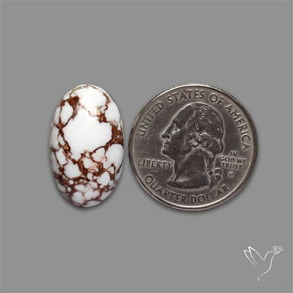 Wild Horse Jasper Cabochon