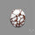 Wild Horse Jasper Cabochon