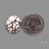Wild Horse Jasper Cabochon