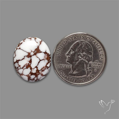 Wild Horse Jasper Cabochon